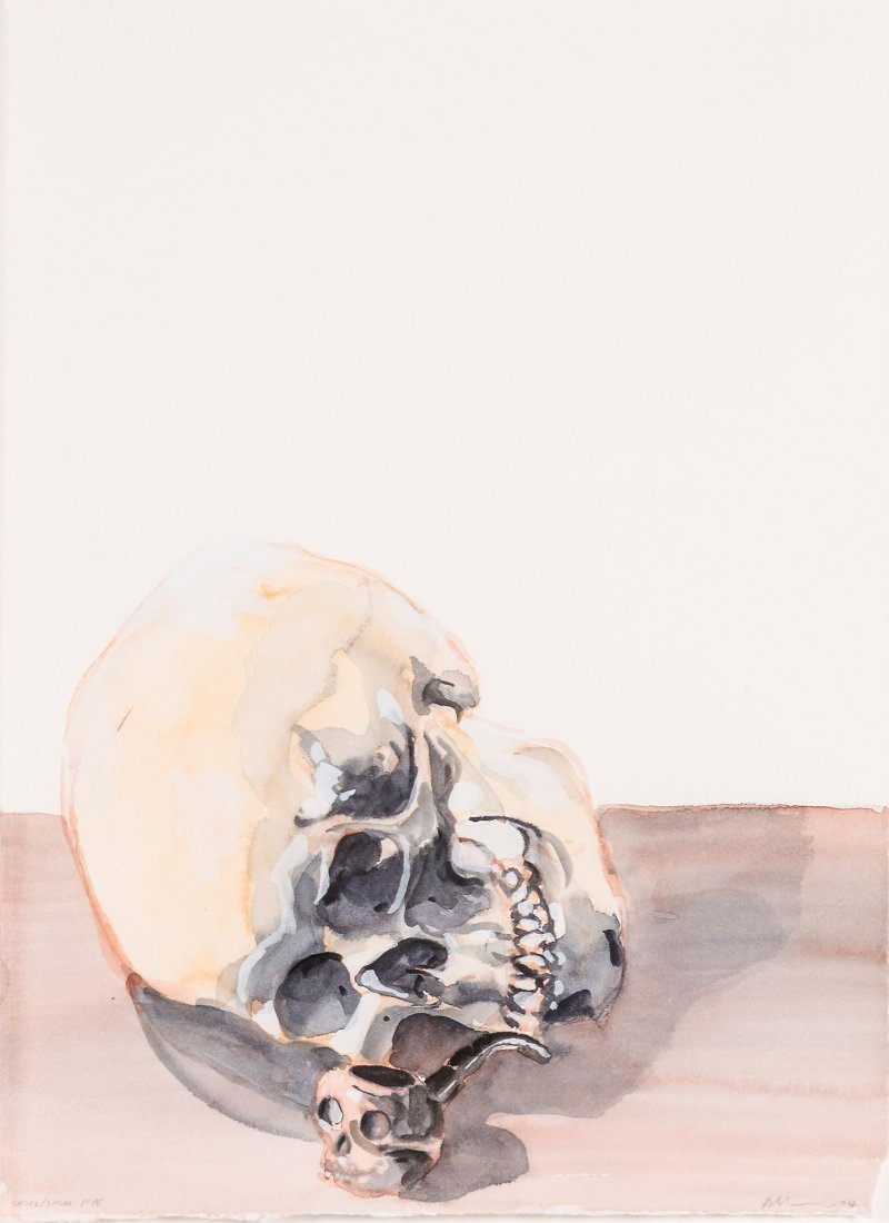 ** Ricky Swallow (b. 1974) - Skull/Pipe, 2004: watercolour on paper, titled in pencil at lower left, signed and dated at lower right 15 x 11 in., 38.1 x 28 cm Provenance: Stuart Shave/Modern Art, London.