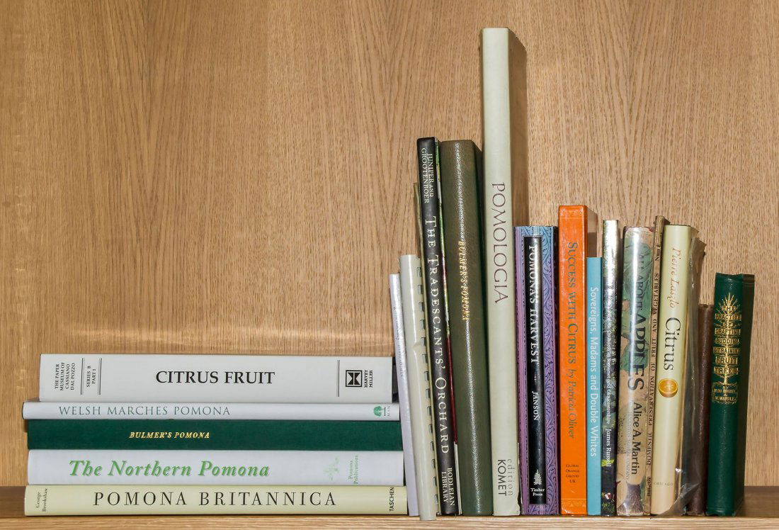 Freedberg (D.) & Enrico Baldini. - Paper Musuem of: Paper Musuem of Cassiano dal Pozzo Series B: Natural History, Part 1, 1997 § Brookshaw (George) Pomona Britannica: The Complete Plates, Cologne, 2002 § Hawthorne (L., editor) The Northern Po