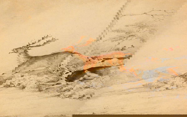 Alken (H. T. 1785-1851) attrib, Stag hunt,: Alken (Henry Thomas, 1785-1851) attributed to, Hunting the stag, pencil and watercolour heightened with gum arabic, 255 x 410mm, unframed ? together with a watercolour, English School 19th C