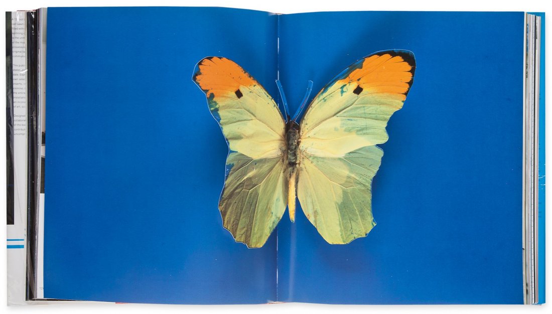 Hirst (Damien) - I want to spend the rest of my life (1 of 1)