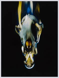 Mat Collishaw (b.1966) - Blowback: chromogenic print, 2015, signed in black felt tip pen verso, numbered 7/100, on Epson paper, with margins, sheet 540 x 422 mm (21 1/4 x 16 5/8 in) IMPORTANT: This lot is sold subject to Artists Resale