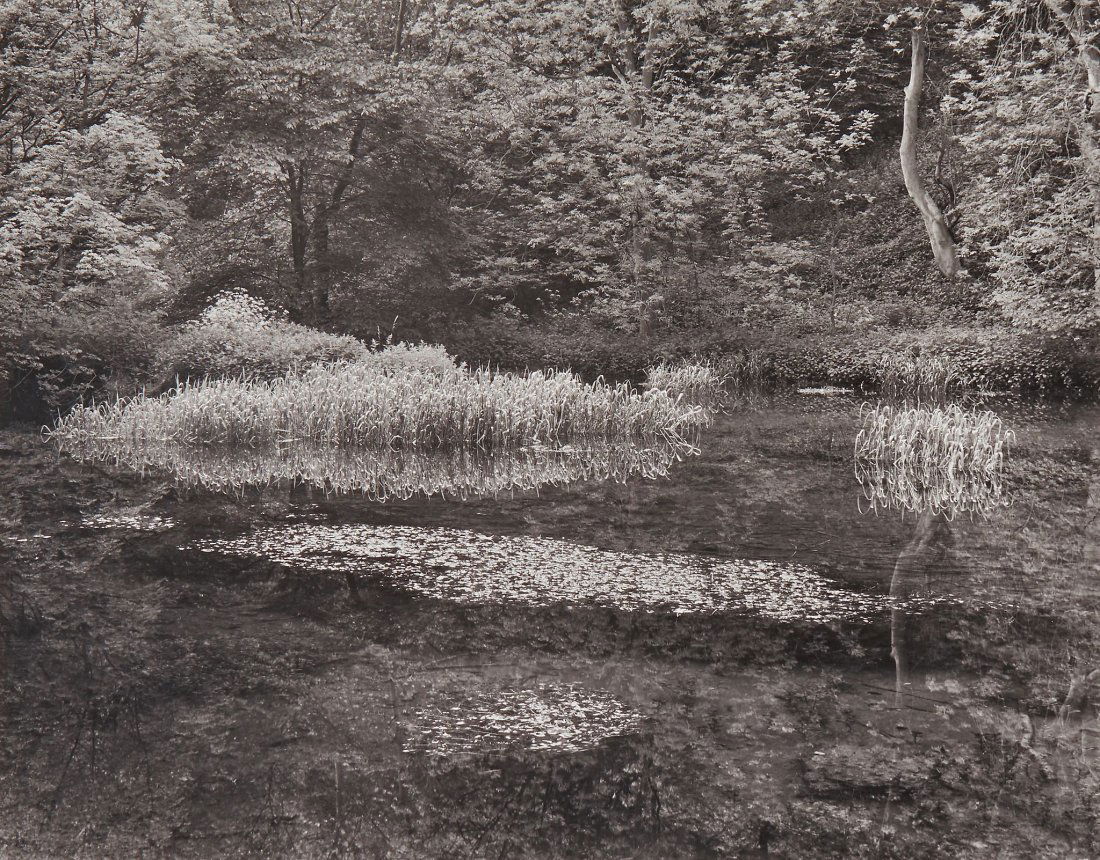 John Blakemore (b.1936) - Lathkill Dale, Derbyshire,: Gelatin silver print, flush mounted to board, printed later, signed, titled and dated in black ink in the margin, 35 x 44.5cm (13 3/4 x 17 1/2in) Provenance: Paul & Toni Arden Collection, UK IMPORTANT