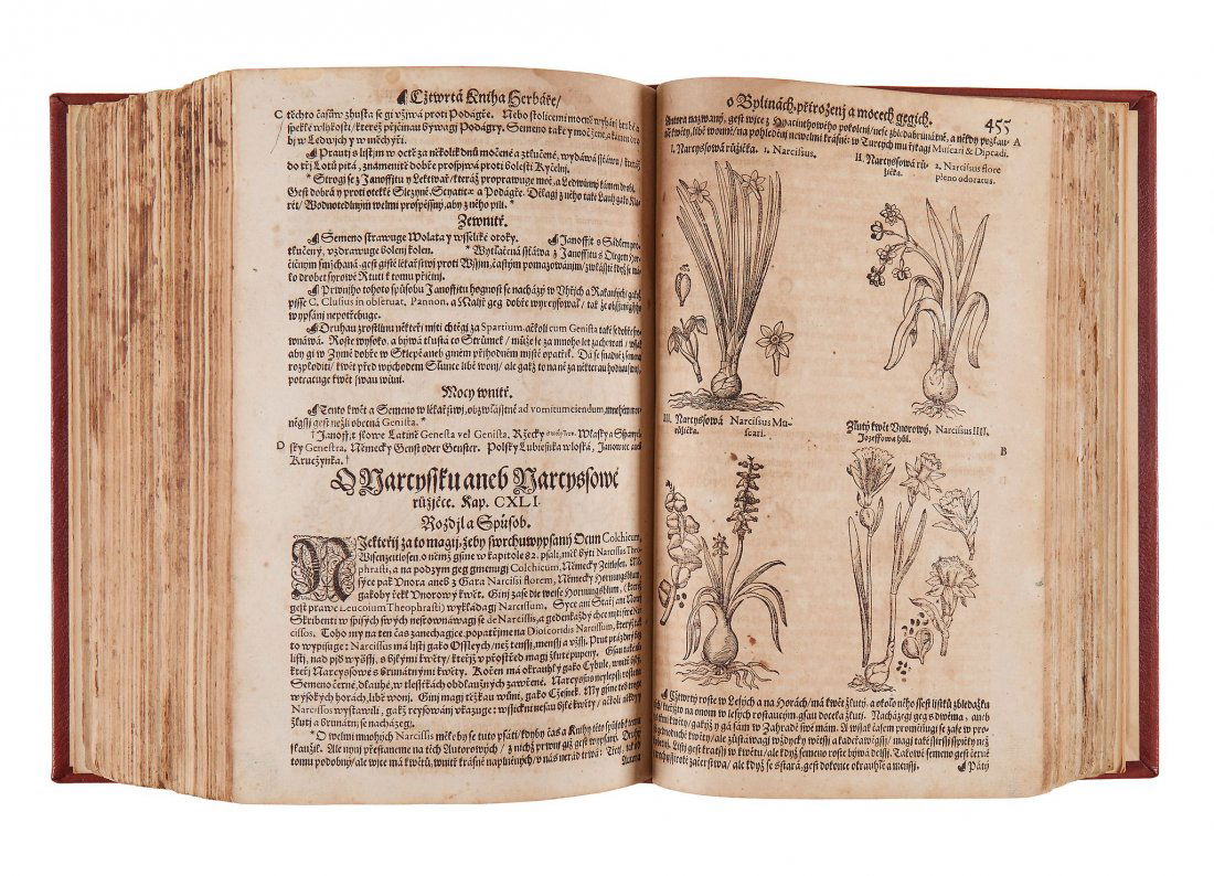 [Mattioli (Pietro Andrea)] - Herbar aneb Bylinar, (1 of 2)