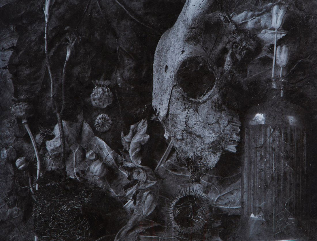 Blakemore (John) - The Garden, Fragments of a history,: John Blakemore (b.1936), The Garden, Fragments of a history, No.2 , gelatin silver print, signed, titled and dated in black ink in the margin, 30.4x39.7 cm (12x15 1/2 in.), 1991.