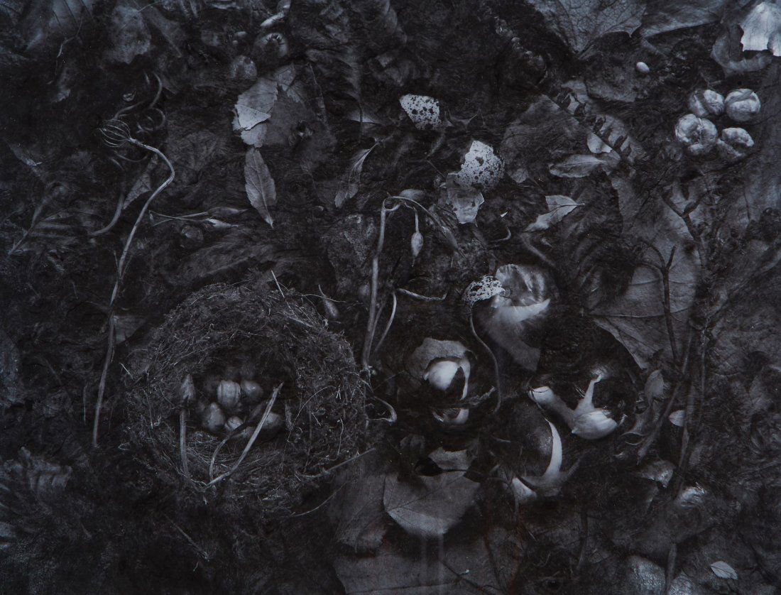 Blakemore (John) - The Garden, Fragments of a history,: John Blakemore (b.1936), The Garden, Fragments of a history, No.4 , gelatin silver print, signed, titled and dated in black ink in the margin, 30.4x39.7 cm (12x15 1/2 in.), 1992.