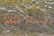 Will Sparks Spanish Mission Landscape O/C - 4