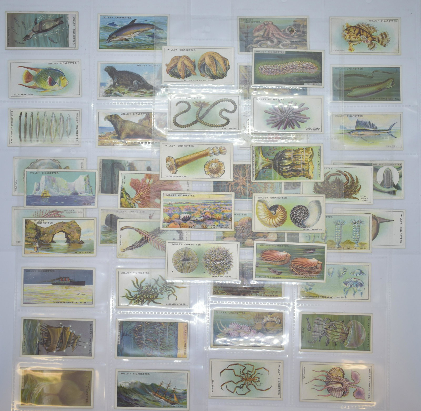Will's Cigarettes Collector Cards Wonders of Sea: Complete series of 50 cards! Beautiful colors! See Photos for Details. Shipping Available.