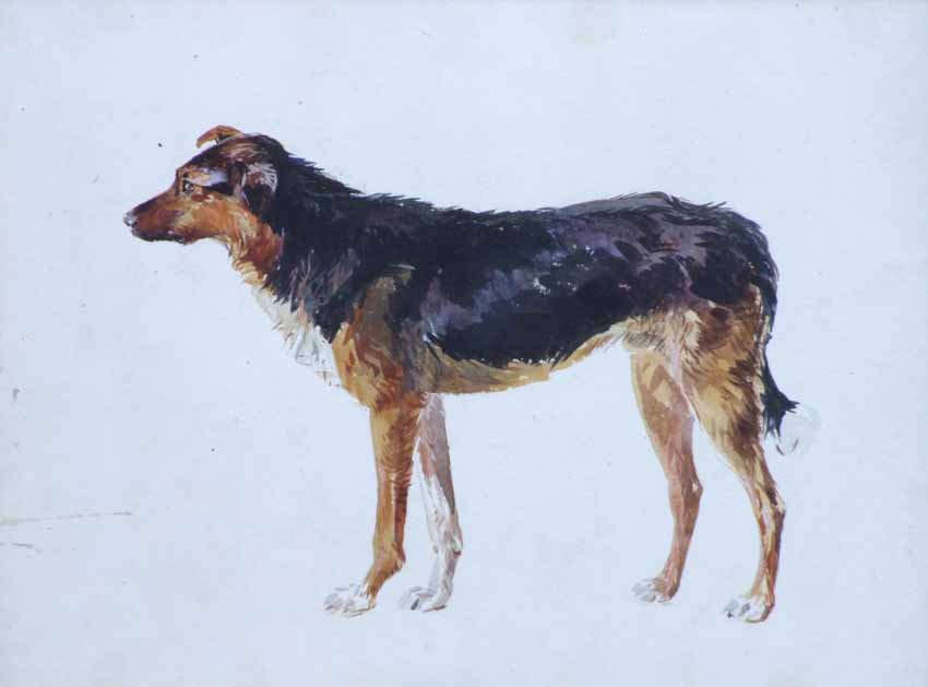 John Isaac Richardson (British, 1836-1913), Dog: John Isaac Richardson (British, 1836-1913), Dog studies, attributed on the mount, watercolour and pencil, various sizes 16.5 x 22cm.; 6.5 x 8.75in (3).