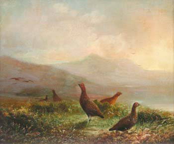 Tom Hold, Grouse on moor, oil: Tom Hold, 19th century, Grouse in a highland landscape, signed, oil on board, 24 x 29cm.; 9.5 x 11.5in.