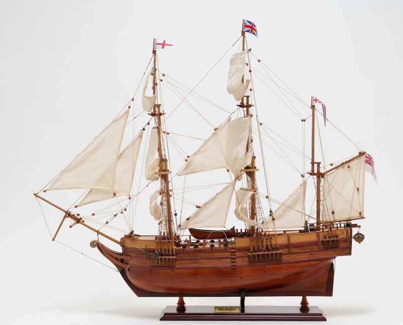 Beagle: Beagle -- Charles Darwin Ship. This is Museum-quality, Fully Assembled edition of the famous HMS Beagle. The model is 100% hand built from scratch using ?plank on frame? construction method. Our maste