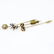 Collection of Three Victorian 10 Karat Yellow Gold