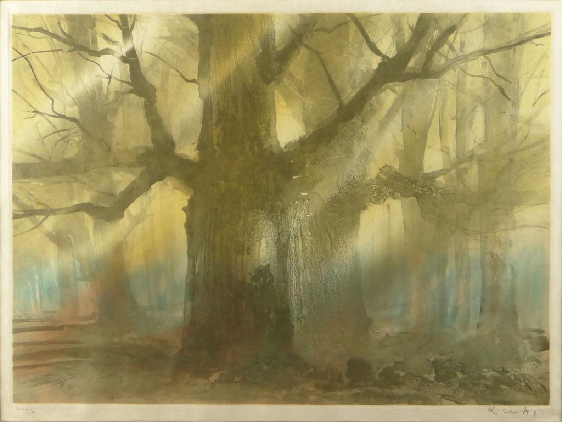 20th Century Color Etching, Forest Scene. Pencil Signed (1 of 5)