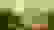item-54719512=3
