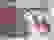 item-2805988=5