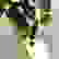item-58754020=4