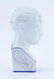 Antique Medical Phrenology Bust After L.N. Fowler - 3