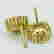 item-59500131=2