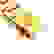 item-61912489=5