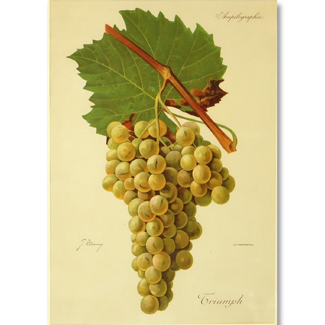 Modern Botanical Colored Lithograph. Nicely framed. (1 of 8)