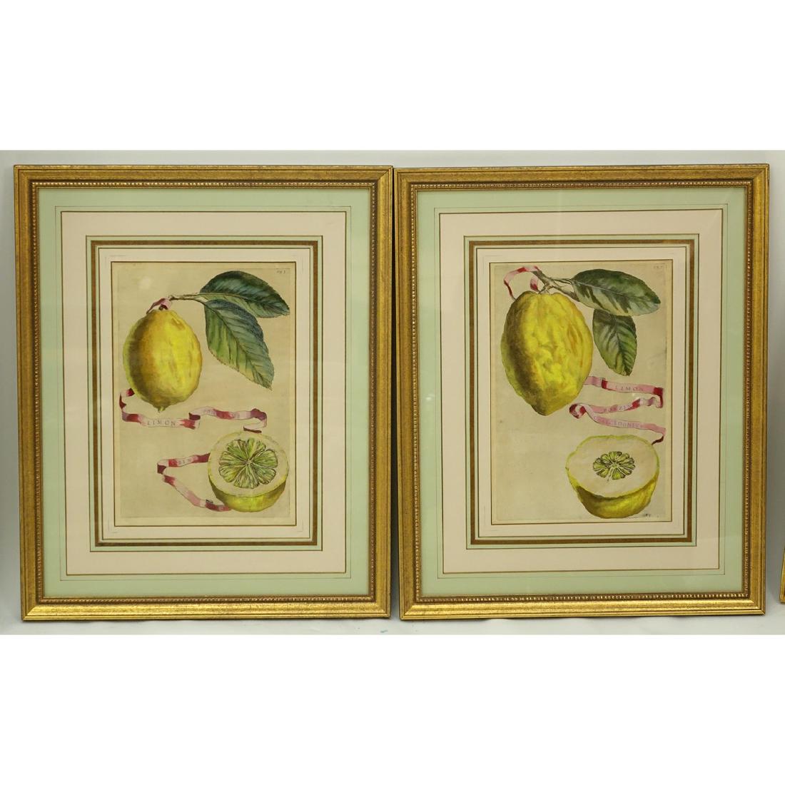 Two 18th Century Hand Colored Botanical Engravings. (1 of 7)
