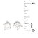 GIA 2.0ct TW Diamond Ear Studs - 4