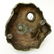 Bergman Orientalist Bronze Group - 7