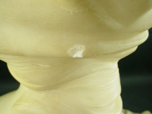 Alabaster and Marble Bust Mounted on Stepped Marb - 6