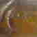 item-72839967=4