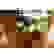 item-73254272=3