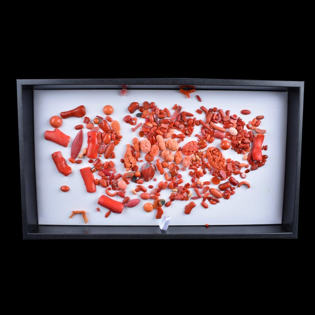 Coral Polished Stone Lot (1 of 3)