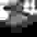 item-83062554=4
