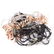 Costume Jewelry Collection