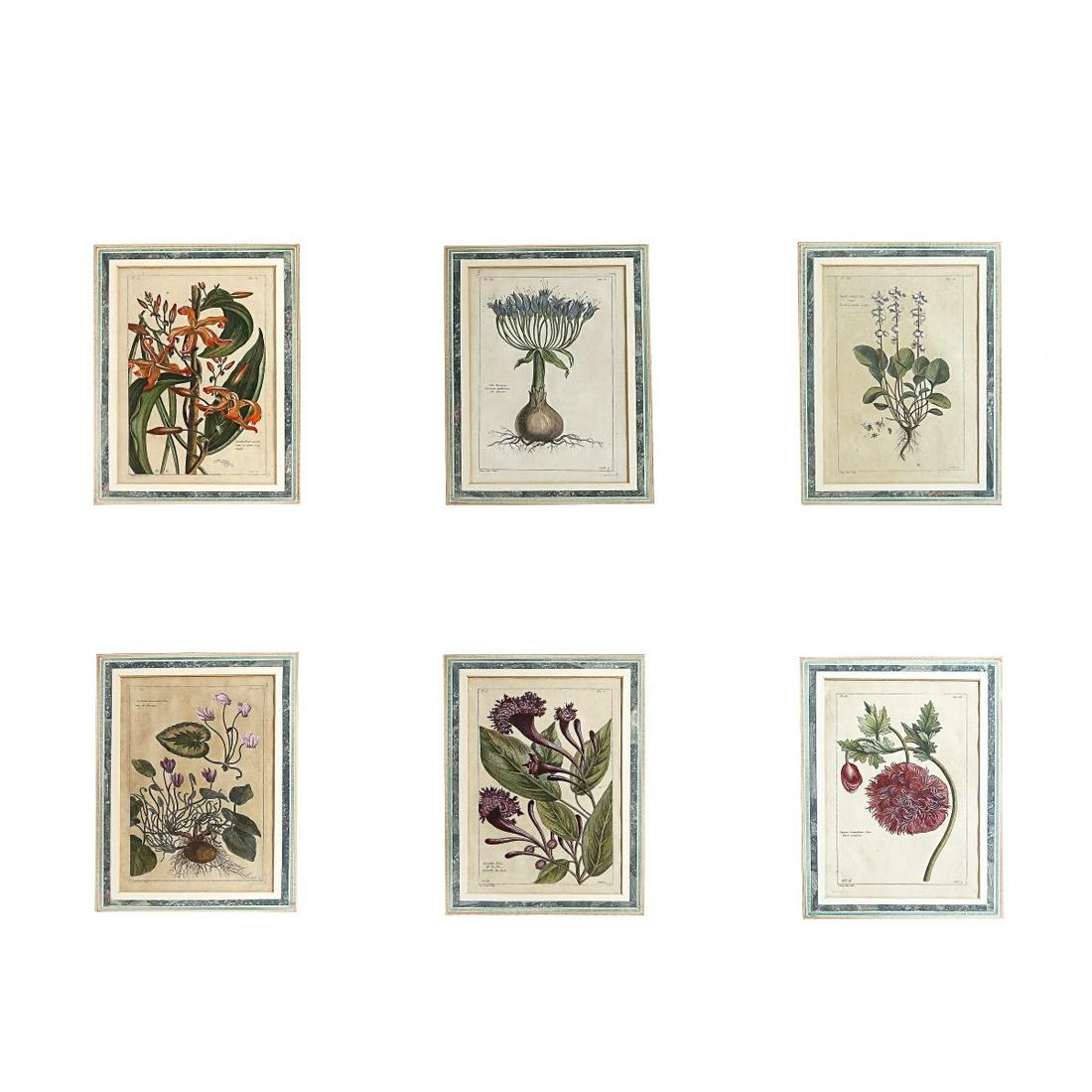 Six (6) 18th C. Hand Colored Botanical Engravings (1 of 4)