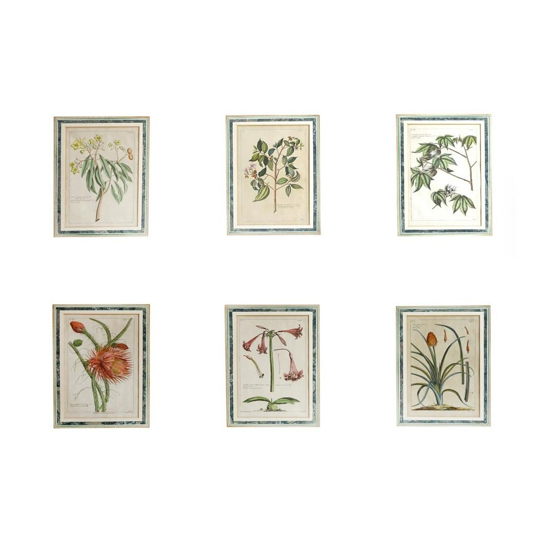 Six (6) Antique Hand Colored Botanical Engravings (1 of 4)