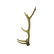 Three (3) Large Isolated Deer Antlers - 4