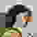 item-87102354=5
