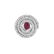 Diamond, Ruby and Platinum Ring - 2