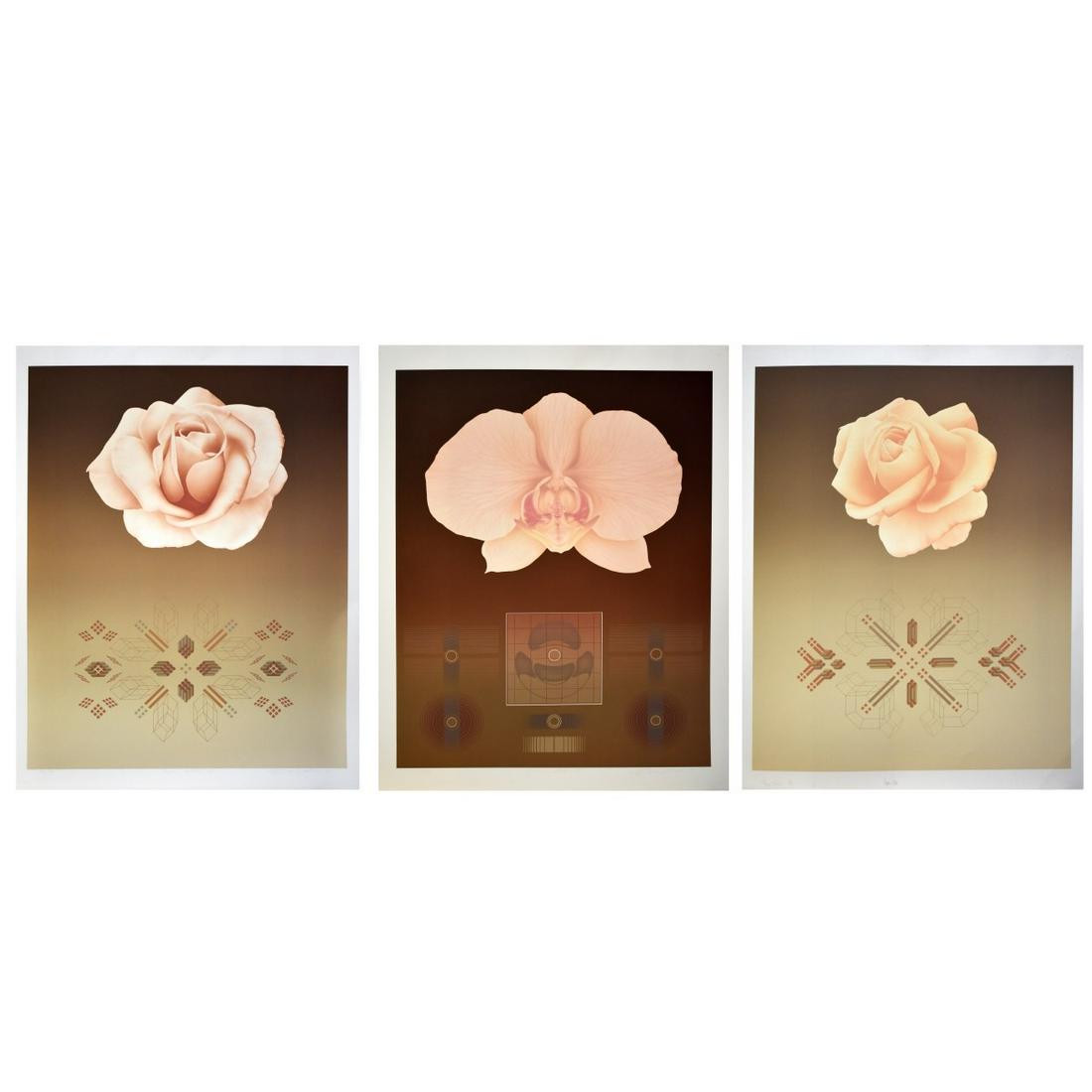 David Haidle, American (b. 1944) (1 of 8)