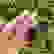 item-102507645=3