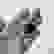 item-102507645=5
