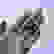 item-102507645=7
