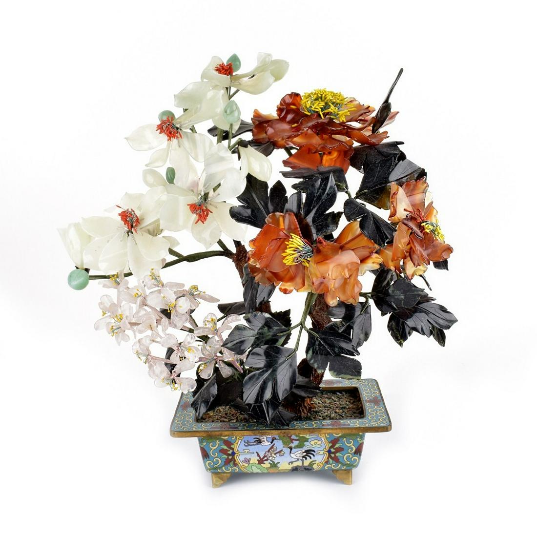 Chinese MIng Tree (1 of 4)