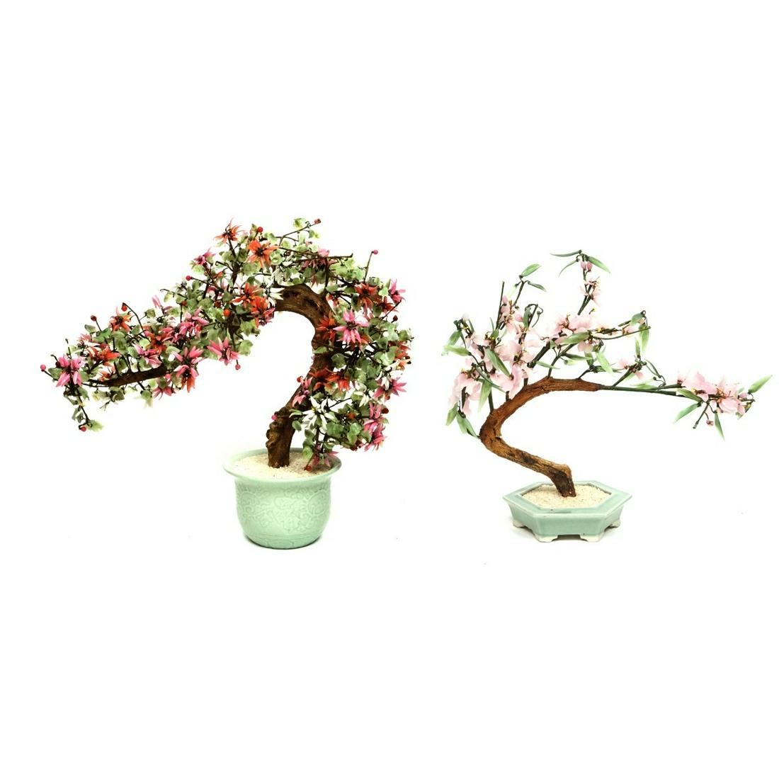 Chinese Ming Trees (1 of 1)