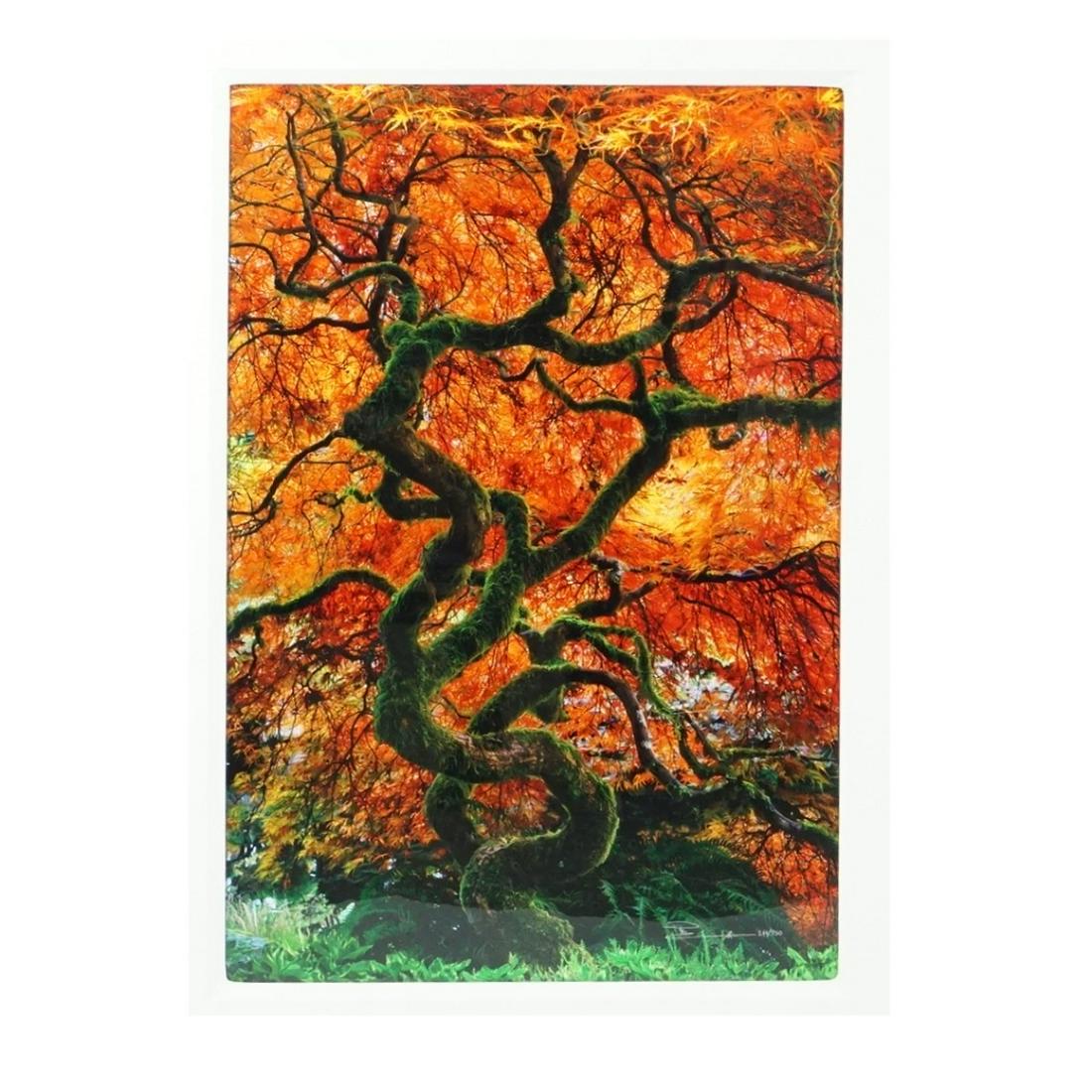 Peter Lik, Australian (b. 1959) (1 of 6)