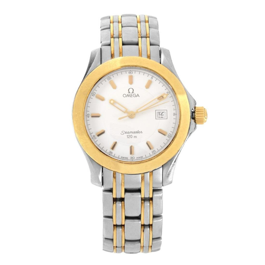 Omega Seamaster Watch (1 of 5)