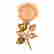 item-134269751=4