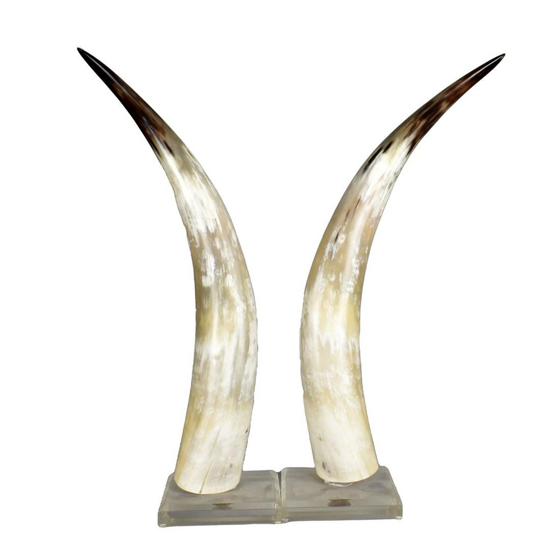 Steer Horns with Acrylic Bases (1 of 3)