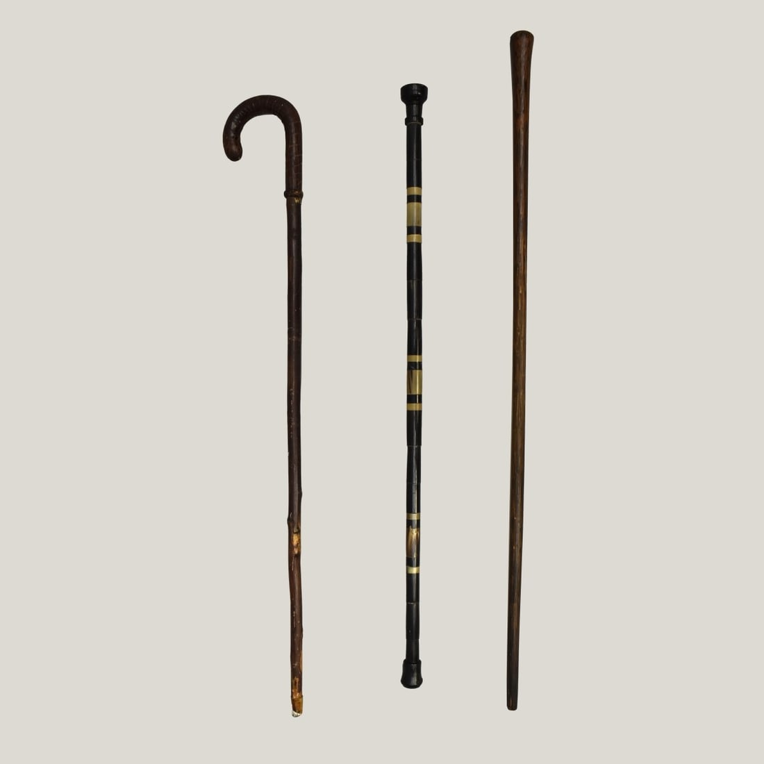 Three Walking Sticks (1 of 6)