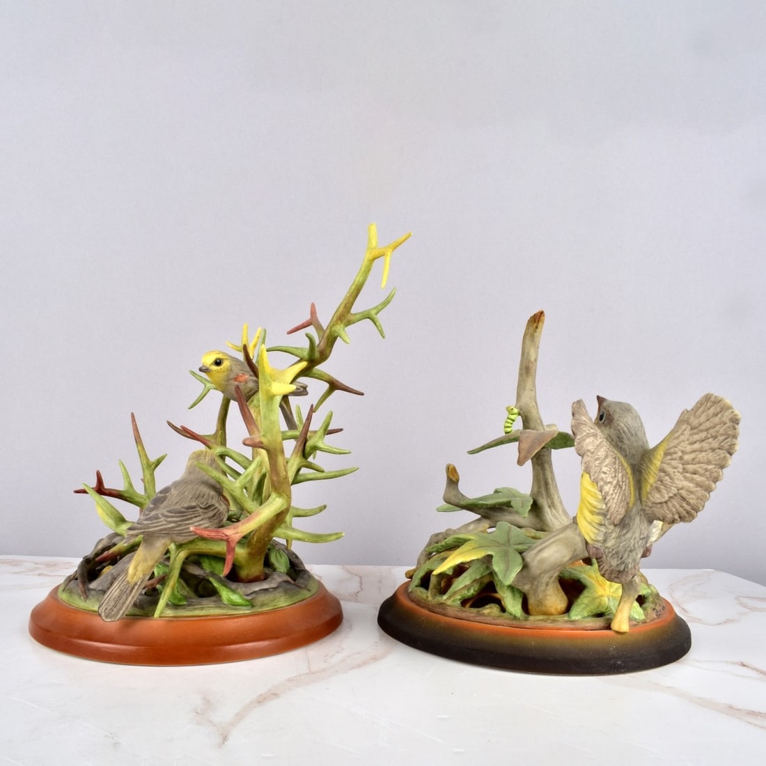 Boehm Bird Groups (1 of 8)