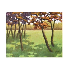 Contemporary Landscape by Joe Sheng